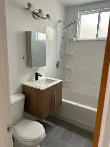 5 1/2 À LOUER MERCIER / HOCHELAGA-MAISONEUVE - Photo 3