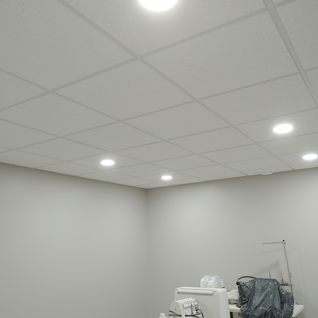 T-bar Ceiling Installer