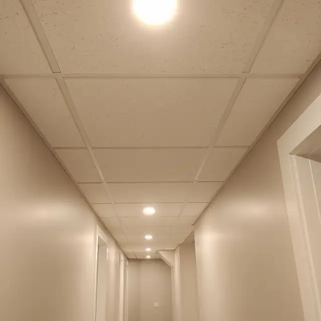 T-bar Ceiling Installer - Photo 2