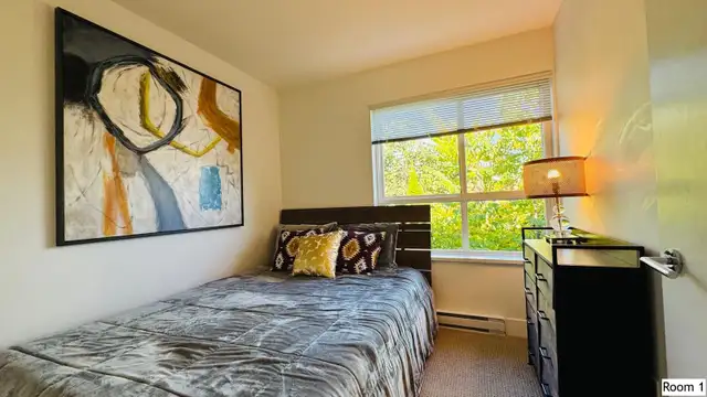 1 Bright Furnished Bdrm for Rent