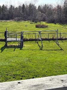 Labour Job yard clean up - Photo 2
