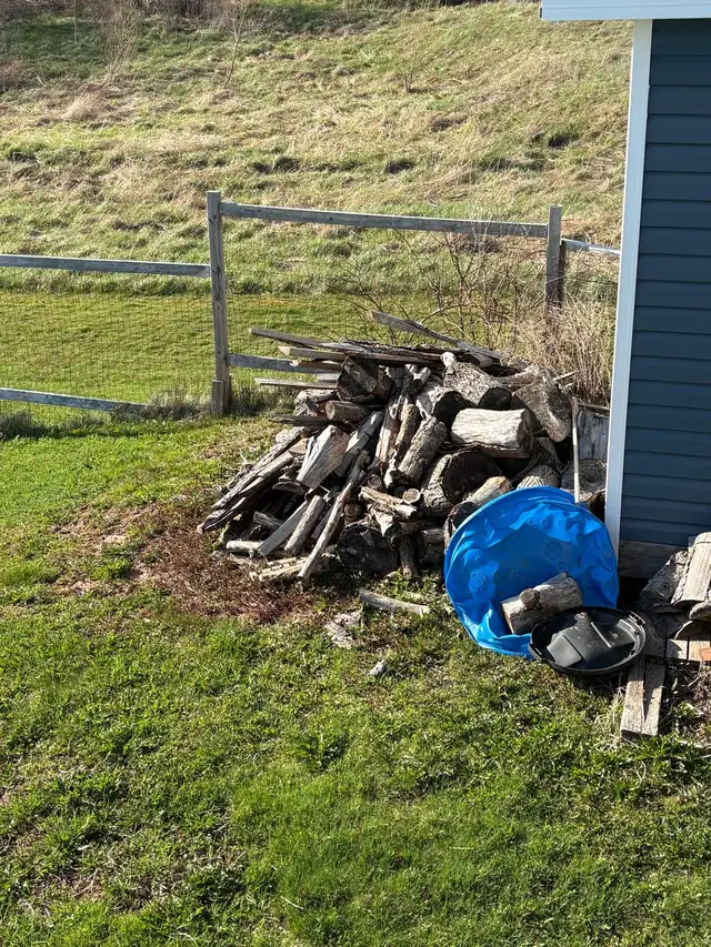 Labour Job yard clean up - Photo 3