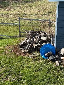 Labour Job yard clean up - Photo 3
