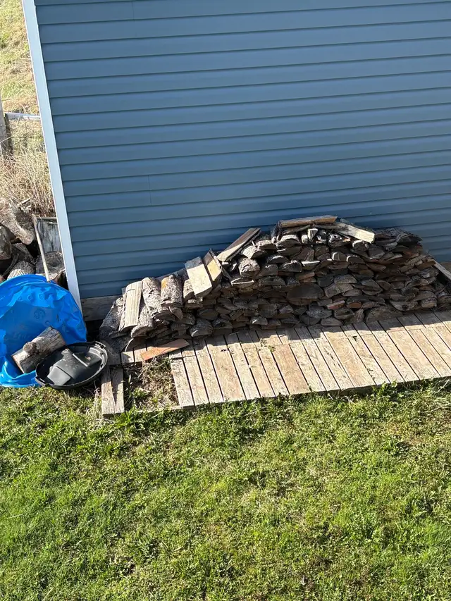 Labour Job yard clean up - Photo 4