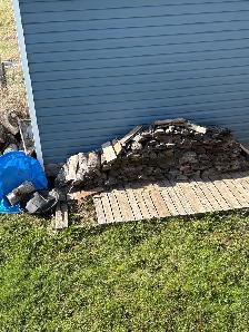 Labour Job yard clean up - Photo 4