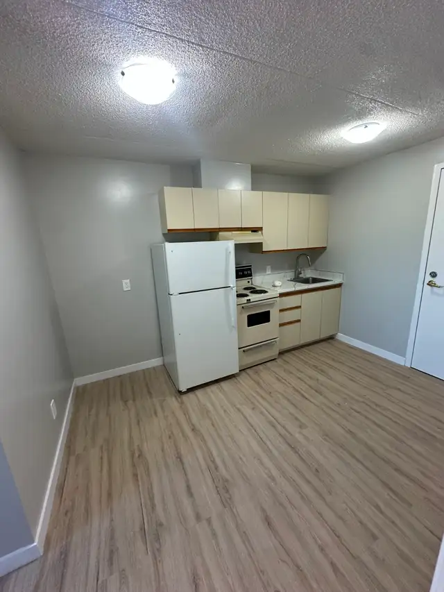 Bachelor Available Now in Minnow Lake - Photo 2