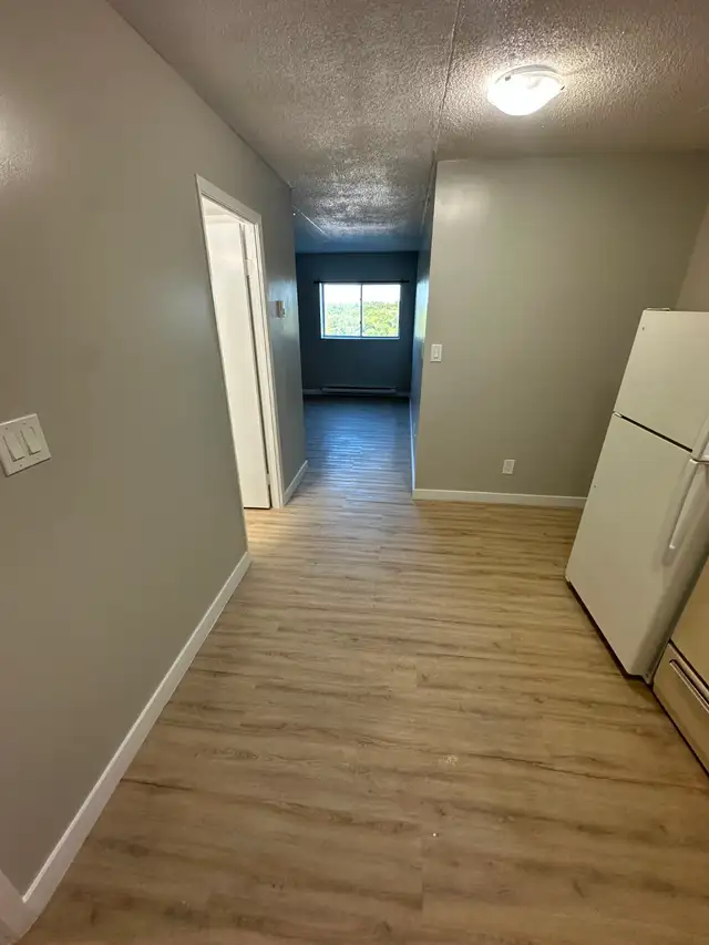 Bachelor Available Now in Minnow Lake - Photo 3