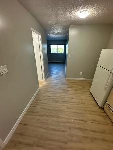 Bachelor Available Now in Minnow Lake - Photo 3
