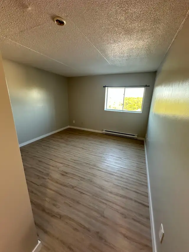 Bachelor Available Now in Minnow Lake - Photo 4