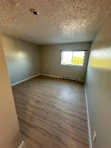 Bachelor Available Now in Minnow Lake - Photo 4