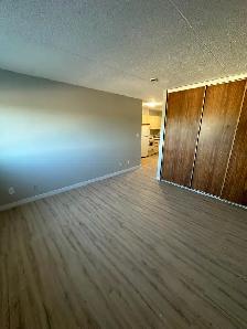 Bachelor Available Now in Minnow Lake - Photo 5
