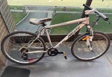 Miele Zoom Mountain Bike