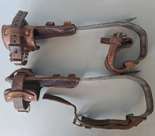 Tree Spurs (30311216)