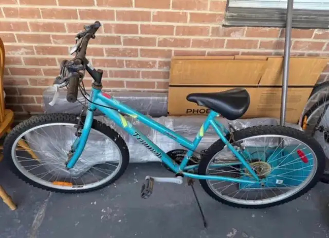 Triumph Mountain Bike