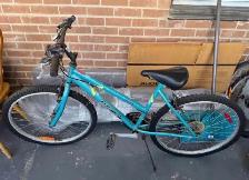 Triumph Mountain Bike