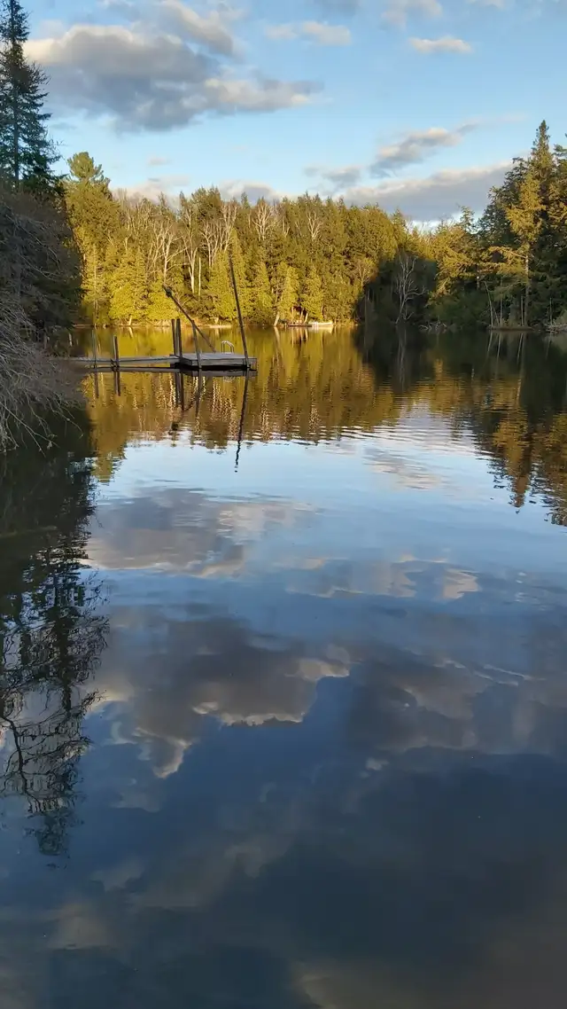 3 Bdrm Cottage on No Motor Lake Haliburtion Highlands - Photo 2