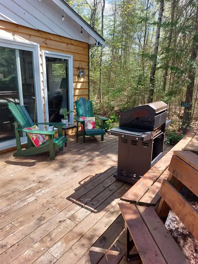 3 Bdrm Cottage on No Motor Lake Haliburtion Highlands - Photo 9