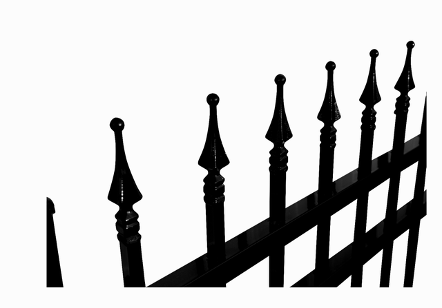 Portail décoratif en fer forgé de 4,88 m (16 pi) avec motif de c - Photo 5