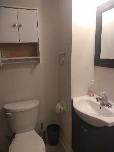 Fully Furnished 1-bedroom basement Unit Available 1st July 2026 - Photo 8