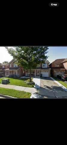 House for Rent