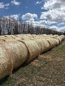 Greenfeed Bales