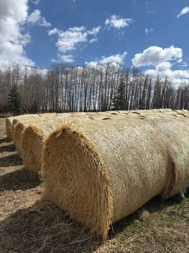 Greenfeed Bales - Photo 2
