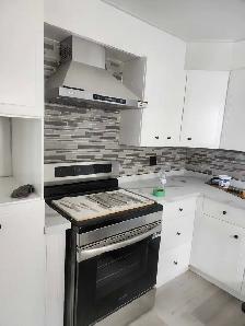 home renovation/ plumbing/electrical - Photo 5