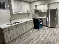 1 BR   Den - New Basement Apartment - High Ceilings -Mt Pleasant - Photo 3