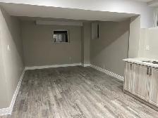 1 BR   Den - New Basement Apartment - High Ceilings -Mt Pleasant - Photo 4