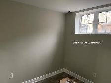 1 BR   Den - New Basement Apartment - High Ceilings -Mt Pleasant - Photo 5
