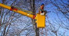 Utility Tree Trimmer Foreman Job Opportunities! - Photo 3