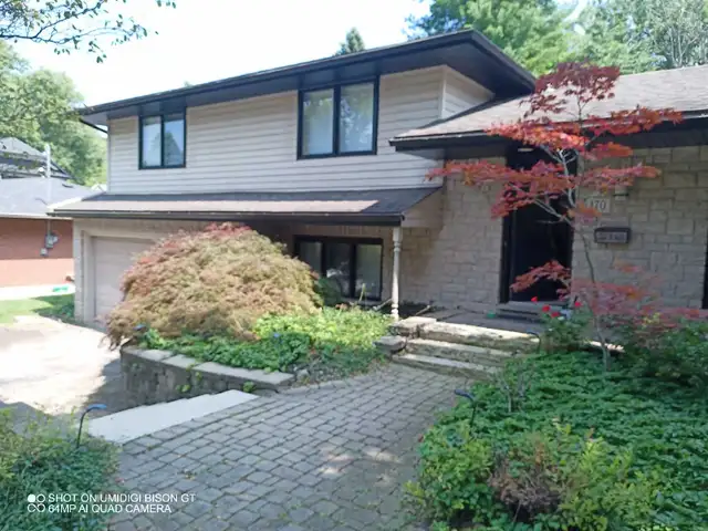 Reasonably priced painter - Photo 7