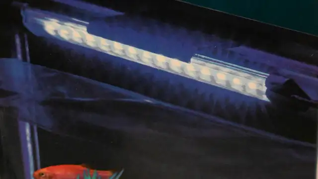 Aquarium Light 8' Blue Light Glo Fish Brand New - Photo 8