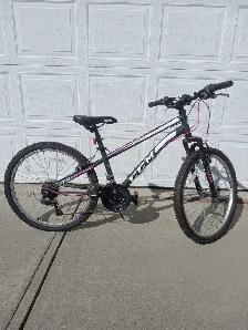 Mountain bike