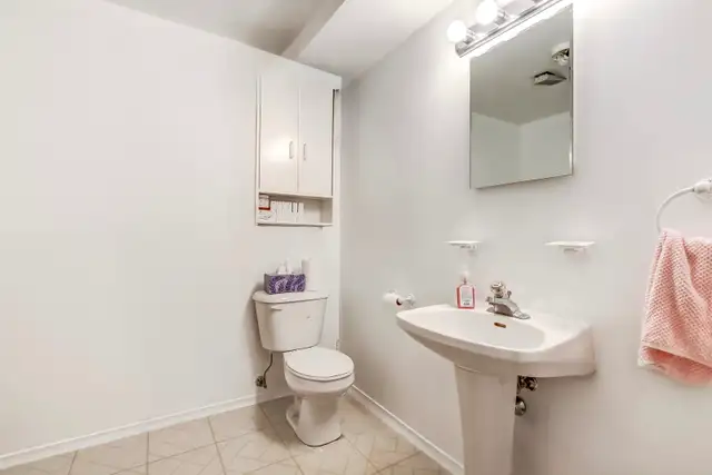228 Pochard Lane, London, Ont. FOR SALE! Income Potential! - Photo 10