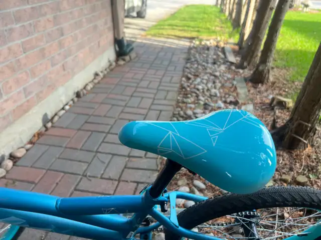 20inch bicycle - Photo 2