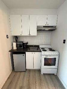 STUDIO MEUBLÉ TOUT INCLUT - Montréal | Plateau - Photo 3