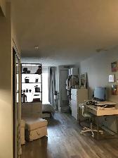 July 1st - Studio/Bachelor Apartment Available