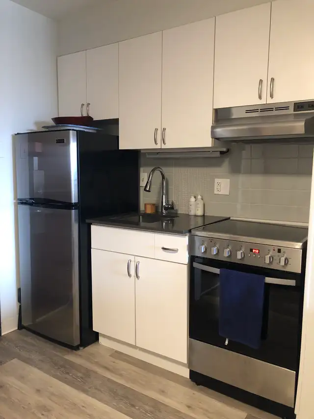 July 1st - Studio/Bachelor Apartment Available - Photo 6
