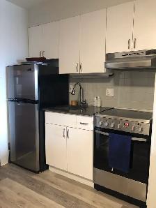 July 1st - Studio/Bachelor Apartment Available - Photo 6