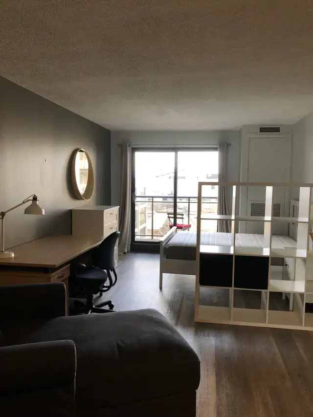 July 1st - Studio/Bachelor Apartment Available - Photo 7