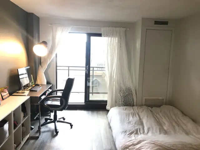 July 1st - Studio/Bachelor Apartment Available - Photo 8