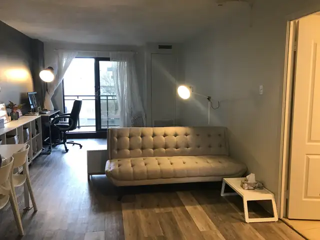 July 1st - Studio/Bachelor Apartment Available - Photo 9