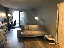 July 1st - Studio/Bachelor Apartment Available - Photo 9
