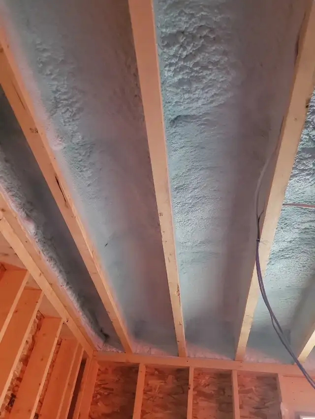 looking for exp bat and Poly guy to learn how to spray foam! - Photo 2