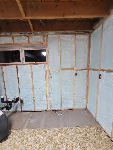 looking for exp bat and Poly guy to learn how to spray foam! - Photo 4