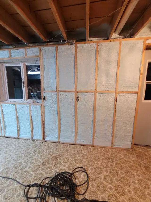 looking for exp bat and Poly guy to learn how to spray foam! - Photo 5