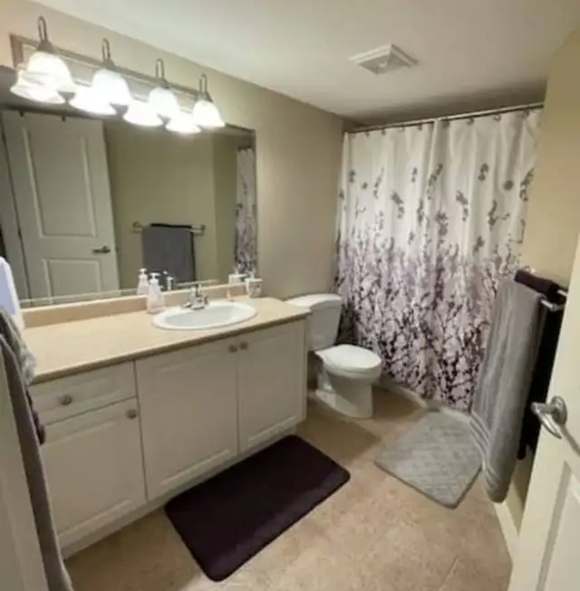 Spacious 1 Bed / 1 Bath Basement Suite - Photo 6