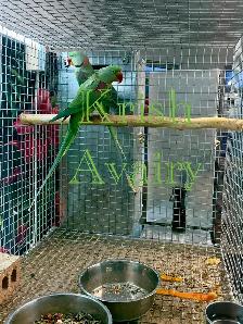Alexandrine Pair
