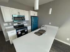 Bright  2 Bedroom, 1 Bath Lower Level in Aspen Ridge